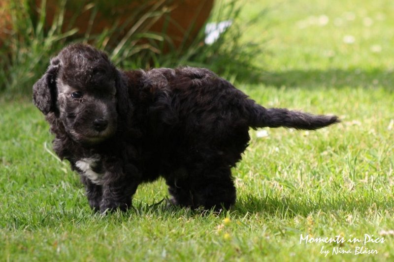 Arc-en-ciel Antares 2009-06-17 (20).JPG